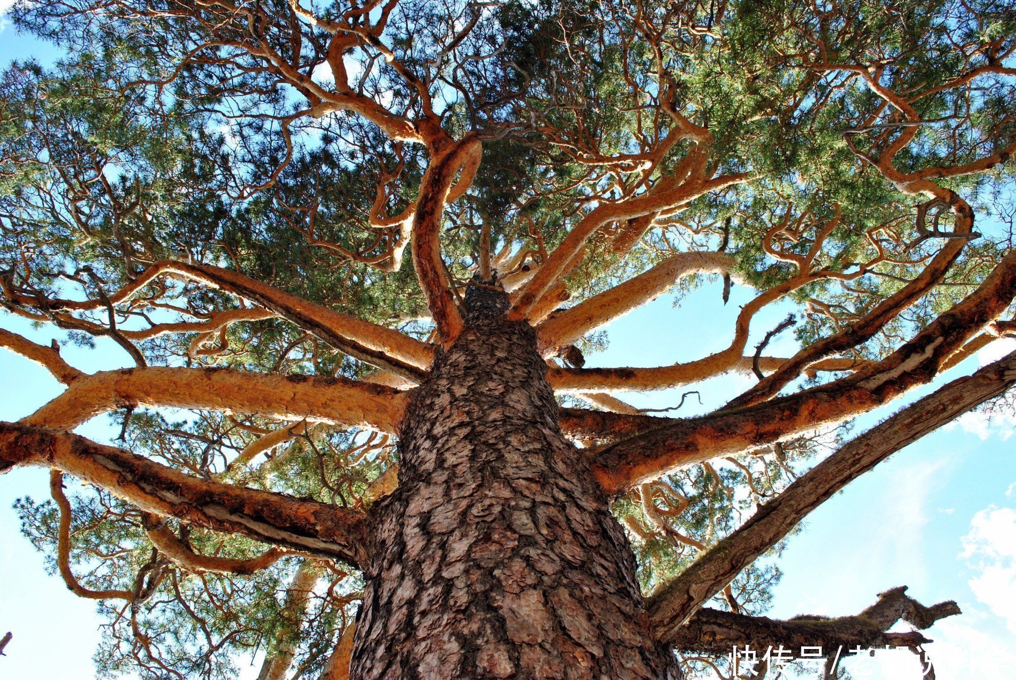 土壤 研究表明,前所未有的干旱将出现在东亚内部,且是不可逆的