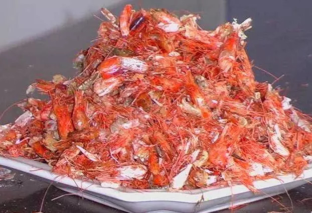 谁家都有的“5种”壳,给花盆里加一点,嗖嗖长爆盆,都是好肥料