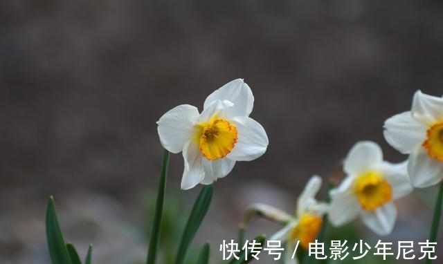 生肖|未来一个月运势飙涨，财神爷光临，钱财满贯