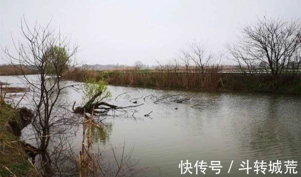 垂钓|野河钓鱼,找鱼窝的常用方法,找拐弯找水草,不过这种地形才最佳