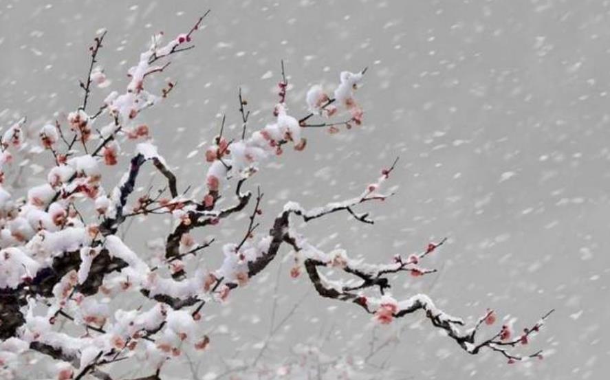 木佛|两首充满哲理的禅诗,踏雪寻梅和烧火取暖,写透人生的欣喜与淡然