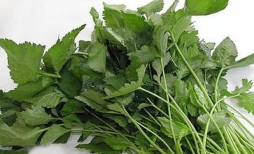 三叶芹|农村田间地头常见6种野菜，鲜美可口，营养丰富，谁吃谁“长寿”