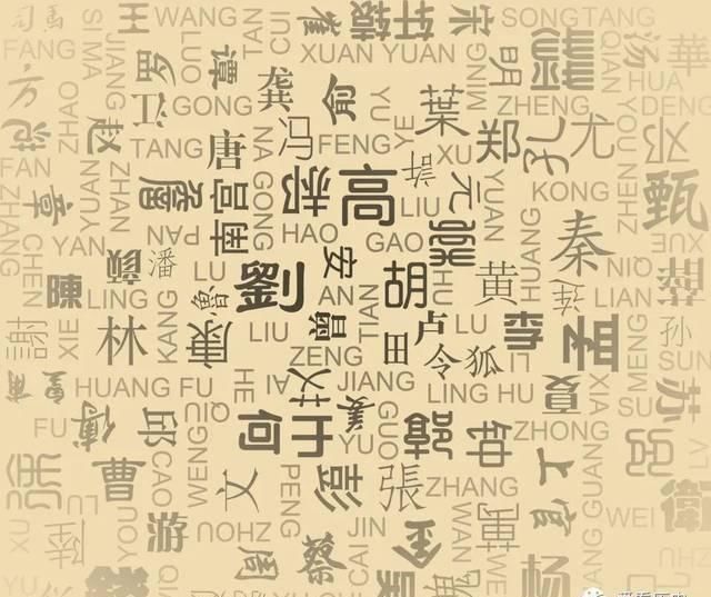 中国最简单的一个姓氏,笔画只有一笔,专家祖先很可能是胡人