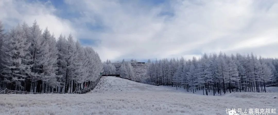 北国风光，雪域驼梁