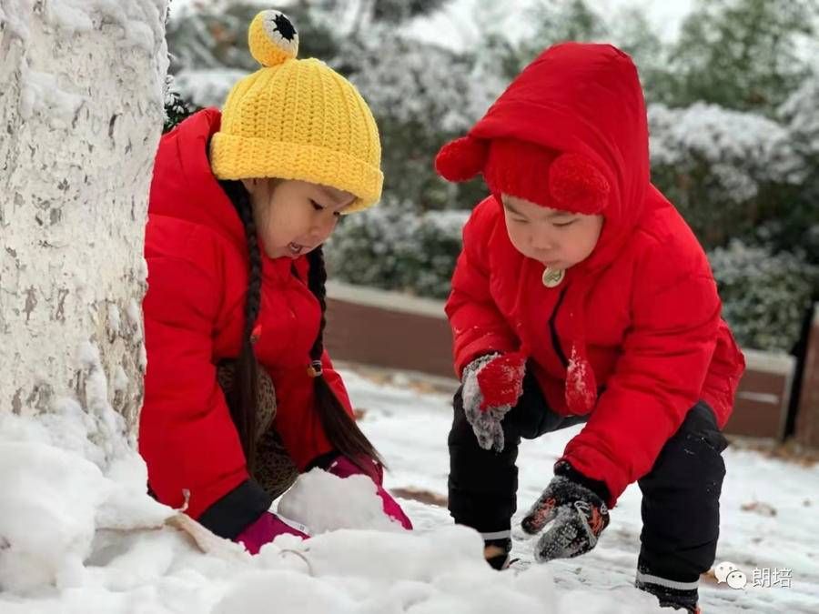 幼儿园|春节后如何选择一个适合宝宝的幼儿园