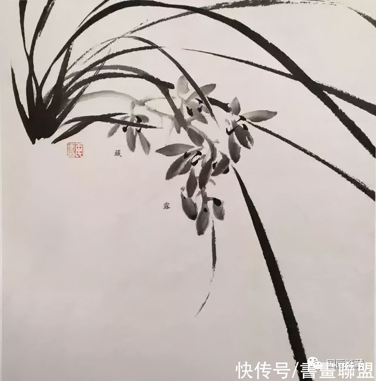 兰叶@国画兰花绘画技法，怎样画兰，兰与竹的组合画法教程