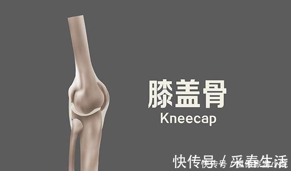 父母们|身体部位预示着孩子能长多高,不用等到长大,家长早知道早预防