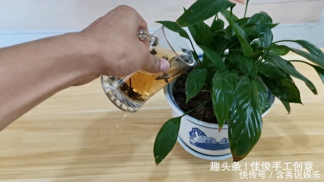 隔夜茶水别倒掉了，解决了男士女士的难题，真实用进来学学！