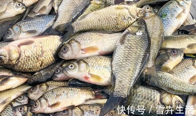 味香汤|现在才知道，买鲫鱼这么简单，煮鱼汤又香又鲜，不懂真可惜