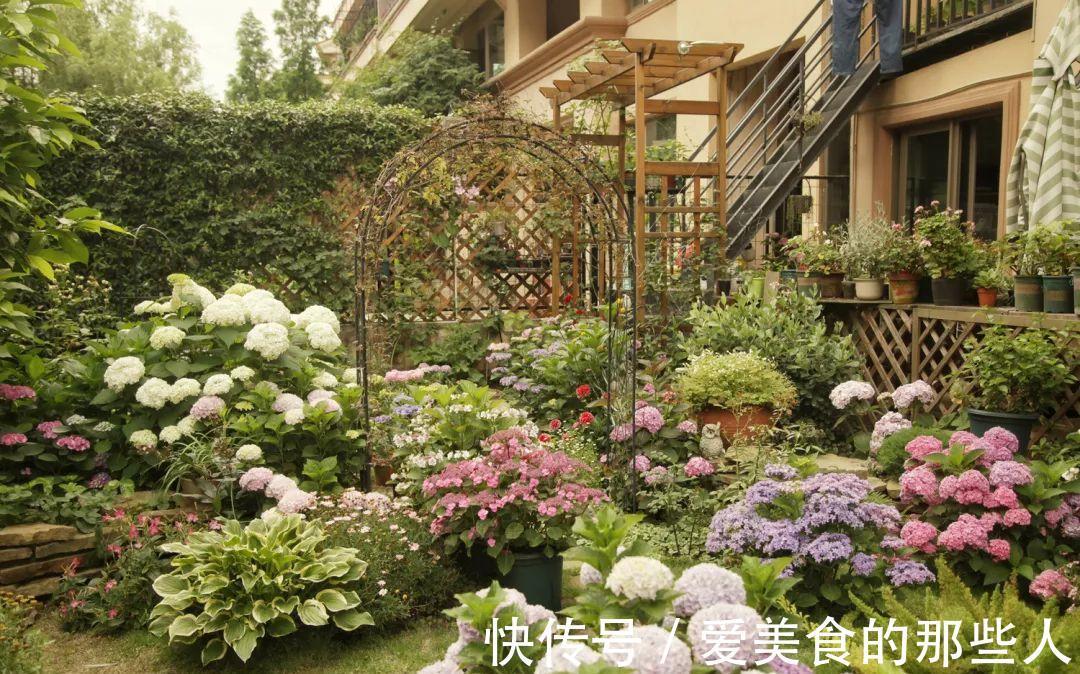 路上看到“三种花”,择点枝带回家,温度低易生根“繁殖”一大群