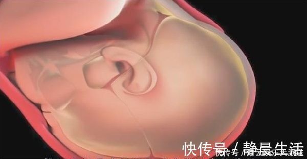 婴儿|如此狭窄的产道,婴儿是如何出来的?看完才知道每个妈妈都不容易