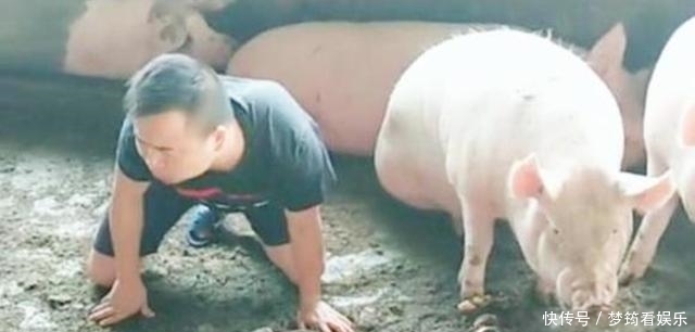 老农家猪圈离奇丢猪,无奈选择报警,专家赶来后却乐开了花