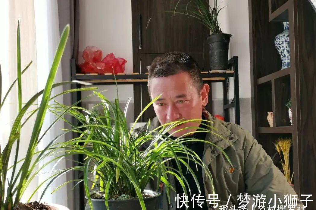 这样的兰花,还能恢复生机?兰友都不敢相信了