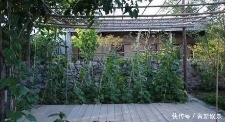 桃花源|20多岁的年龄差距,却把一个破烂的农家小院变成了“桃花源”