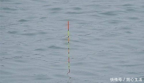 目数|调漂技巧详解空钩调漂和带饵调漂,哪种调漂方法更适合野钓