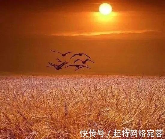 白居易$华人圈流传最广的十首唐诗，第一名情理之中意料之外