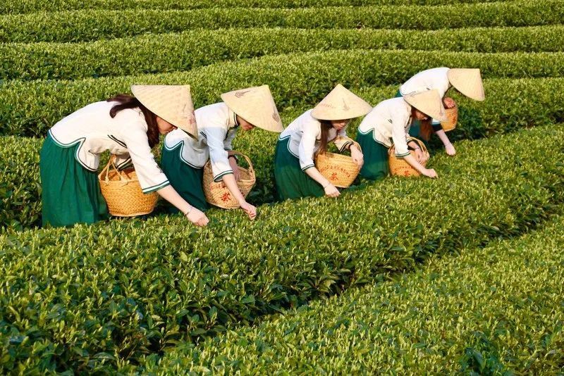 快传号|神奇产业在中国，奇妙发现之旅，优秀作品征集活动