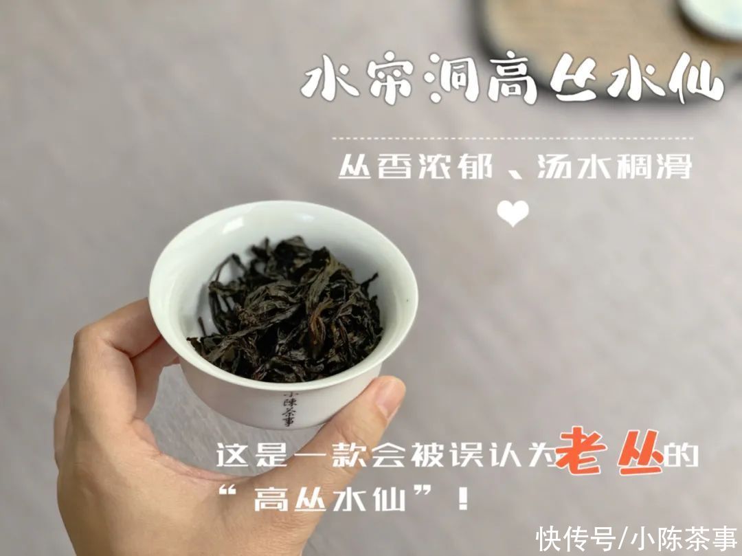 凤凰茶|凤凰单丛、凤凰水仙、岩茶水仙，从历史角度解读水仙茶叶的迁徙史