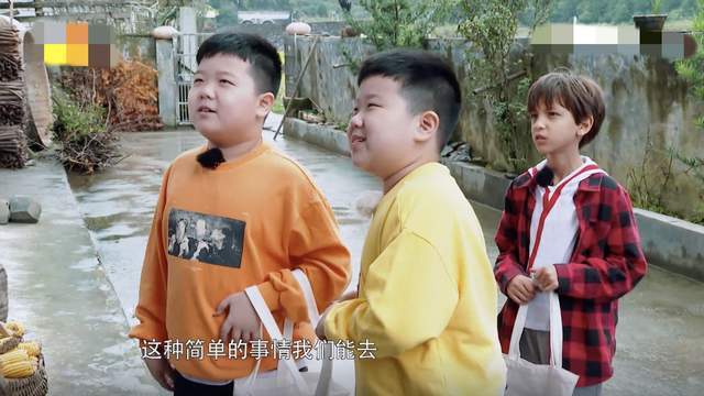 孩子|《盘中餐》爱哭鬼兄弟,都是孩子差距真大,令人无语的是他们老妈