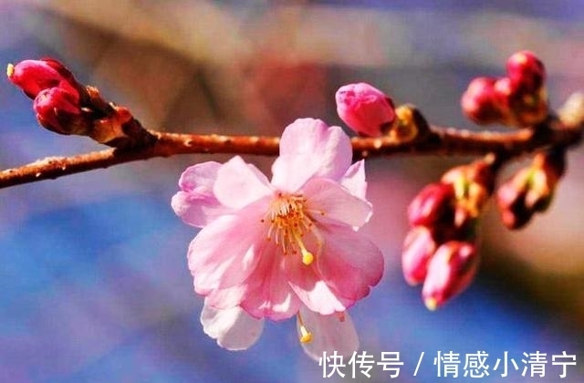 长期|一个人长期不发朋友圈，大多是这三个原因，错不了