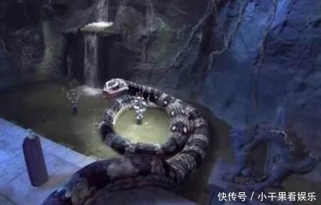 西游记中最自在的妖怪, 害人无数, 没有背景, 但孙悟空却不敢杀他!