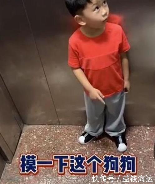 礼貌|阿姨我能摸下这个狗狗吗女叫姐姐,萌娃改口后笑翻众网友