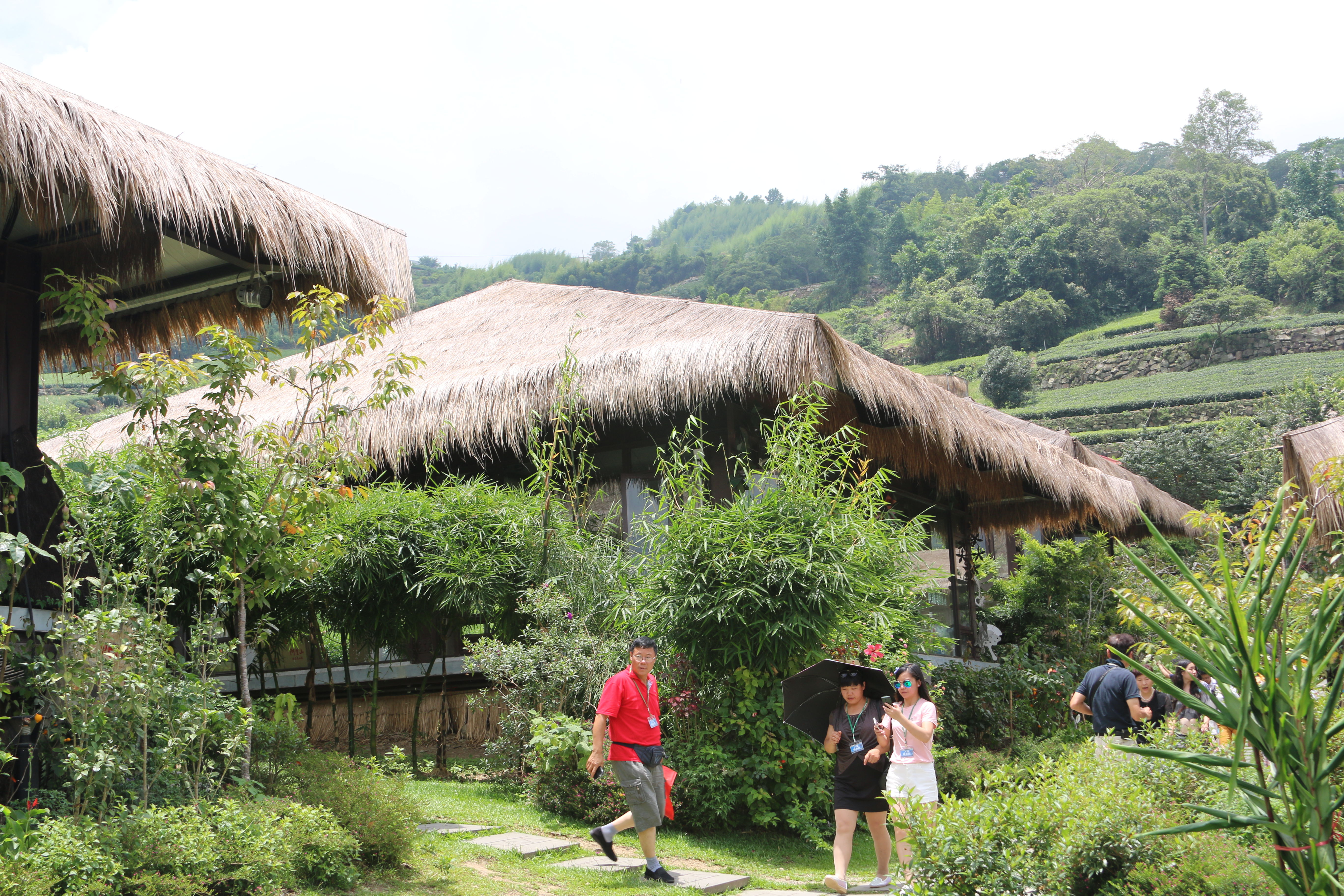 【台湾行22】中国台湾省嘉义县阿里山景区{五}