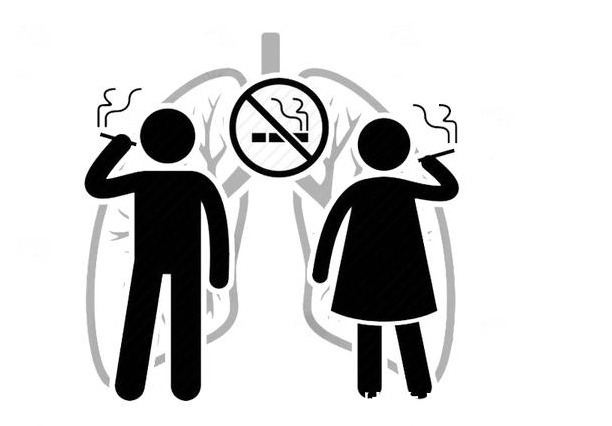 血液粘稠度|得了高血脂,如何预防心脑血管疾病?这几个方法,或能帮您避免