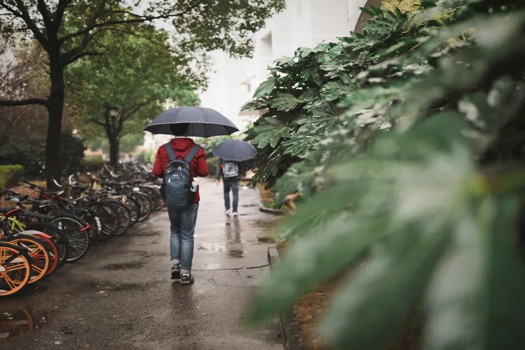 我“雨”最美校园，一起云赏沪上46所高校雨中即景