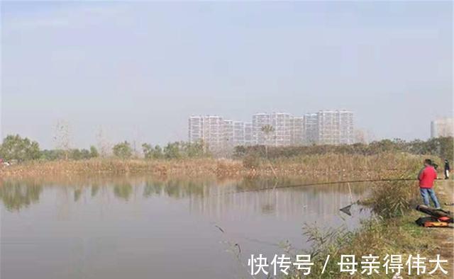 冬季鲫鱼绝杀钓法:长竿、短线、鱼钩小,多窝、活饵加逗钓