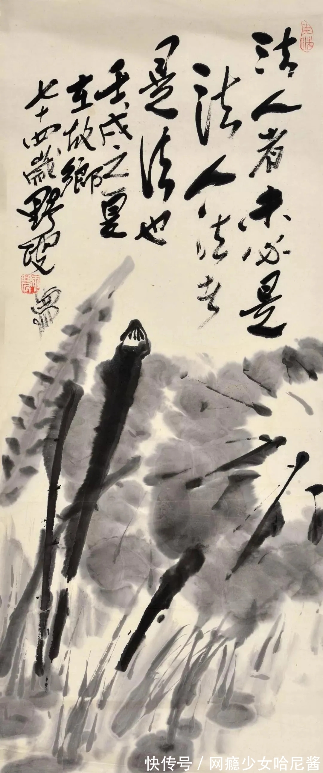 花鸟画@随心所欲、自然天成｜蒋雨浓写意花鸟画