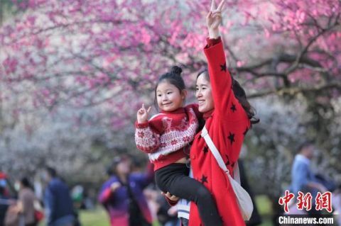 杭州：春节假期 西湖西溪景区游人如织