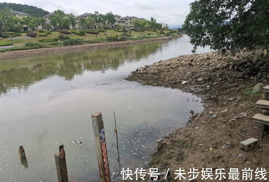 新手|退水该怎么钓鱼?老手和新手的区别就在这,看清楚了!