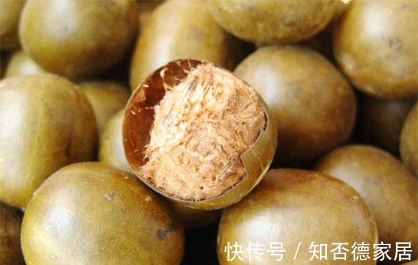 鱼腥草|天然的养肺食物，每天换着吃，一段时间后，肺会感谢你