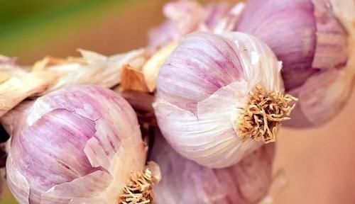  受益|1 颗花椒，9 种良药， 调病养生，均有奇效！转发让更多人受益！