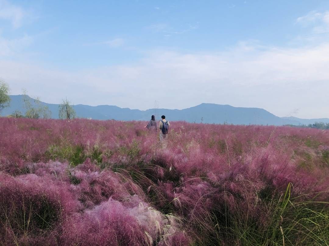 十八景|新晋热门旅游地高坪 秋季畅游风格迥异“十八景”