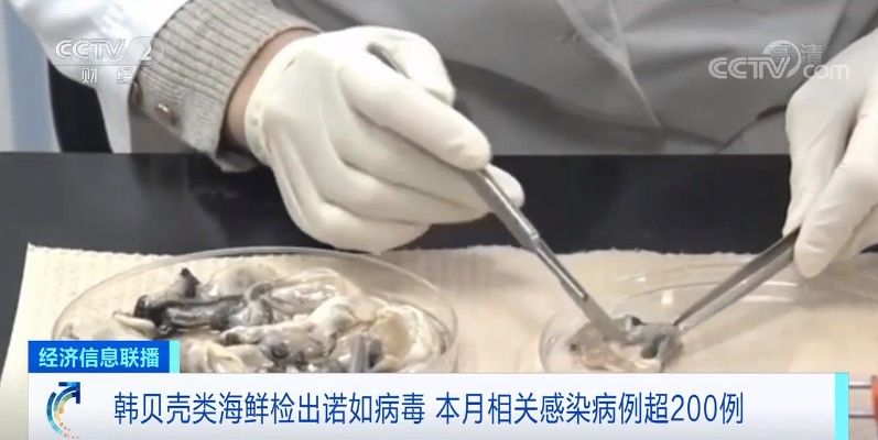 海鲜|拉响警报！已超200人感染，别生吃！