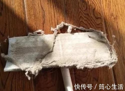 吸尘器|屋里两三天没有打扫就会出现很多“毛毛”，这是怎么回事？