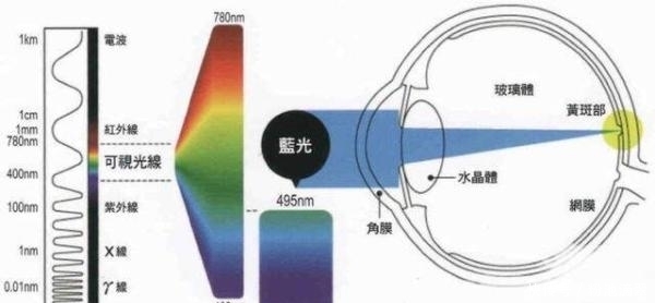 打开|用眼过度，打开手机“护眼模式”真的有用吗？