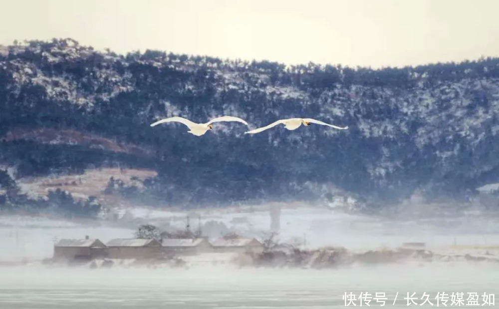 泡温泉、吃海鲜、观天鹅、赏雪景、住渔家……给你一个暖暖的冬天