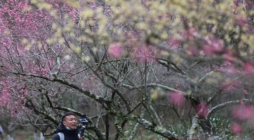 中年|张家界:疫情防控毫不放松 红色旅游持续发力