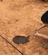 |搞笑GIF趣图:兄弟,你表情很到位啊