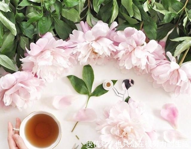 冬至|最新冬至祝福语,句句表真情,字字传心意!