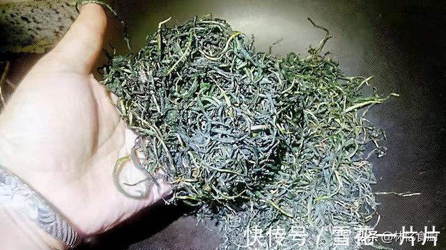 夏季|蒲公英可以直接晒干泡茶吗？弄清楚才能喝得放心，夏季消暑必备