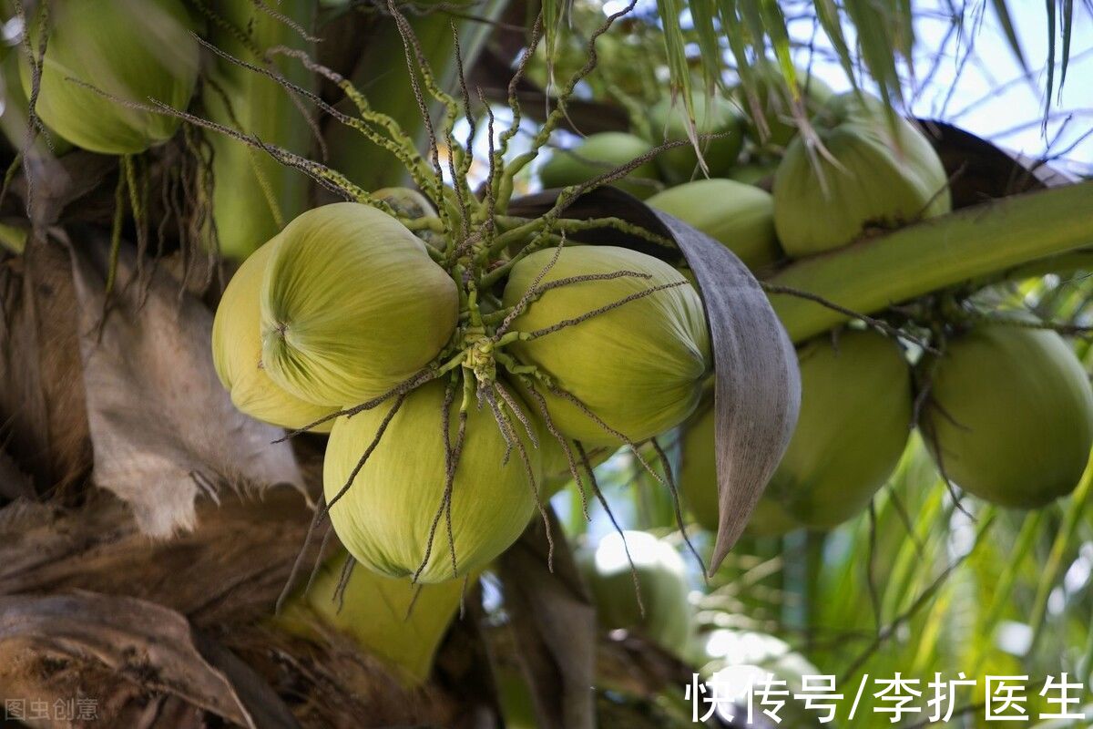 主食|最容易长胖的4种水果，吃它们就等于“喝油”，越吃越胖