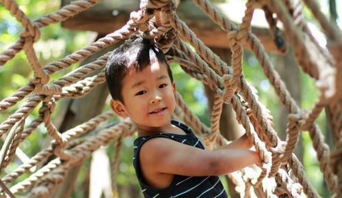 这些事|2岁宝宝有啥发育指标评估？能做到这些事，说明孩子超前发育了