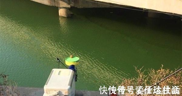 浅水|冬季钓鱼，何时钓深何时钓浅？鱼窝这样找，深浅都上鱼！