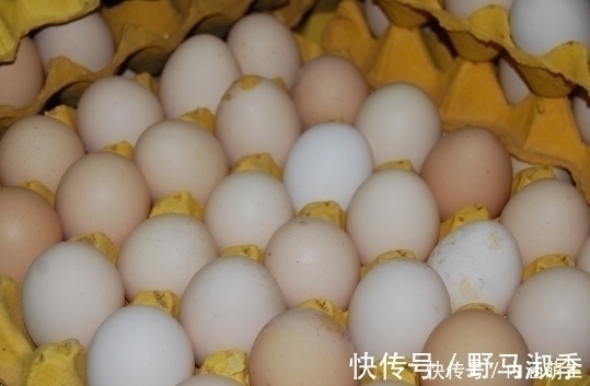强身健体|买鸡蛋时,学会认清“人造蛋”,教你几招,以后一挑一个准!