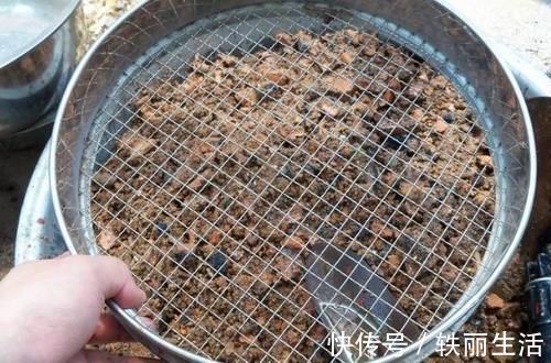 养花烂根不是大问题!土里埋点它,根须刷刷长满盆,越来越壮实