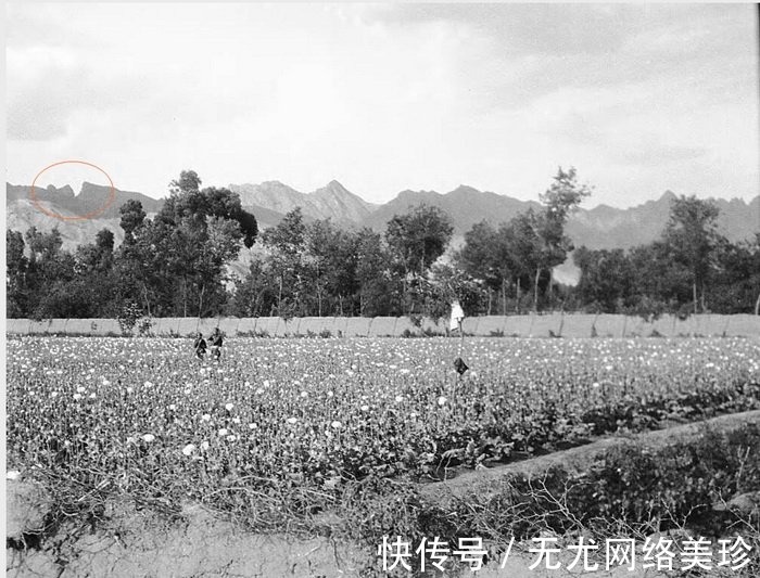 绥远|1931年 绥远萨拉齐县（今包头）老照片